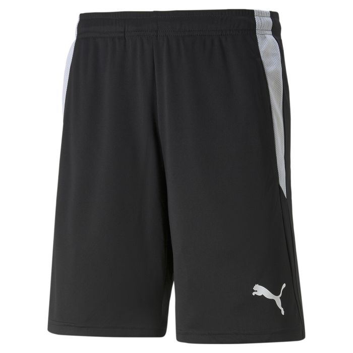 PUMA TEAMLIGA REFEREE SHORTS - Herren main product photo
