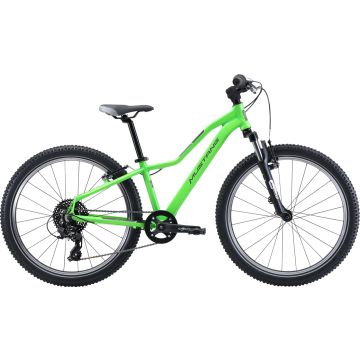 Mustang Fury 24 green