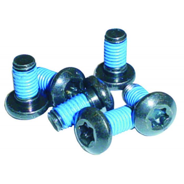 SRAM Rotor Bolt Kit T25 Steel Qty 6 main product photo